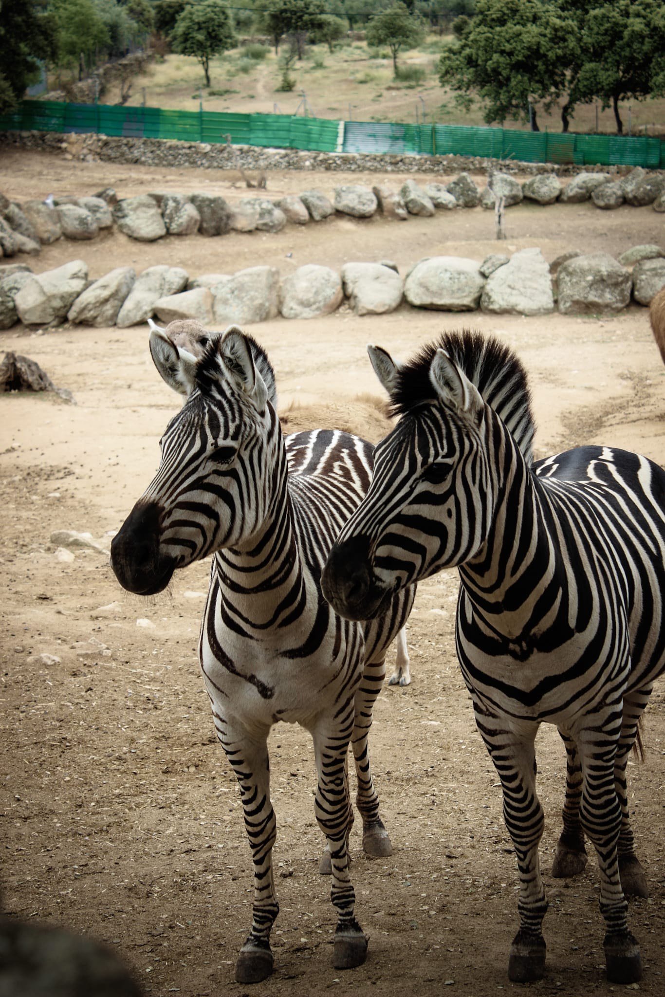 Zoo Safari Fauna Aventura